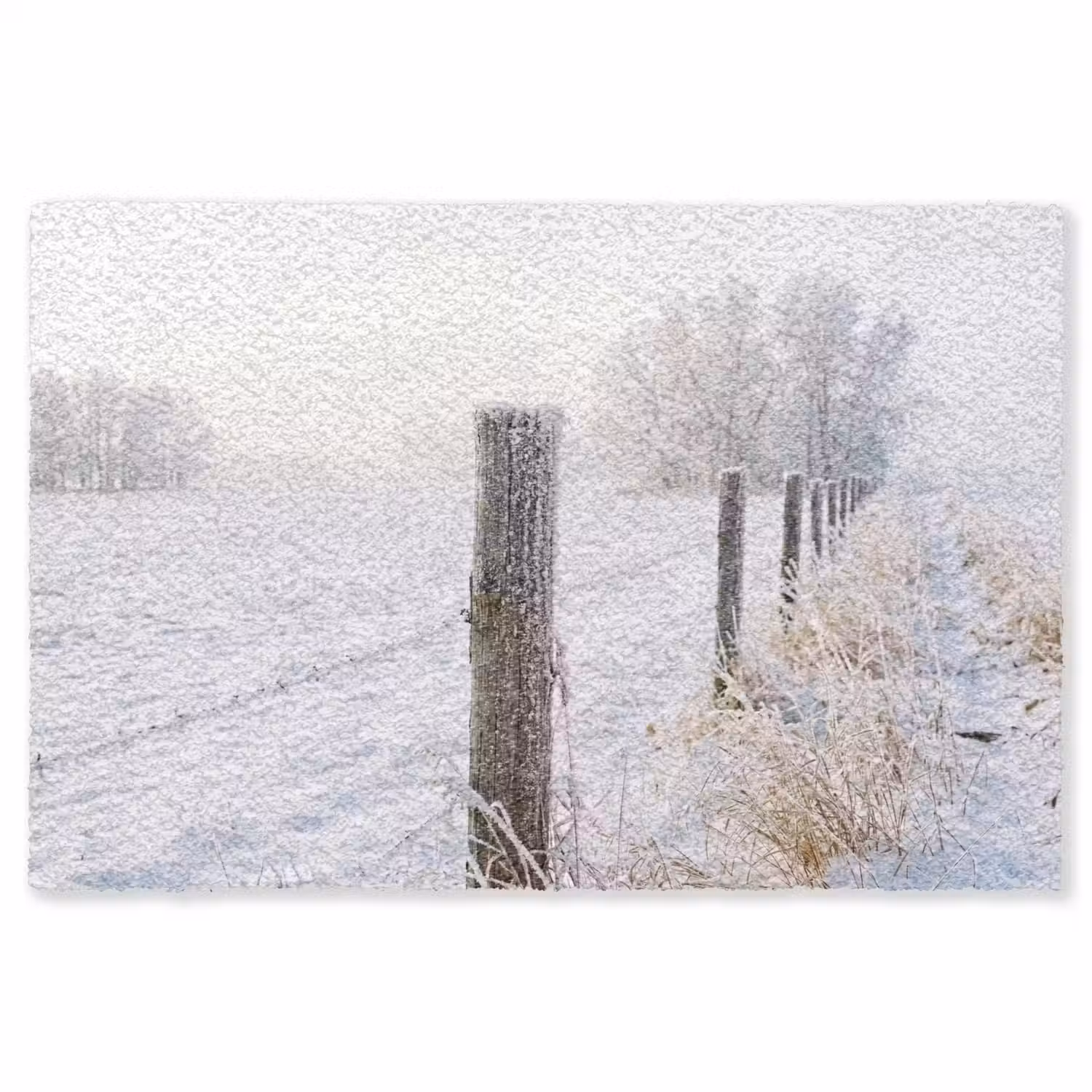 Hek - Sneeuw - Mist - Platteland - Nostalgisch Vloerkleed Rechthoek klein -3d