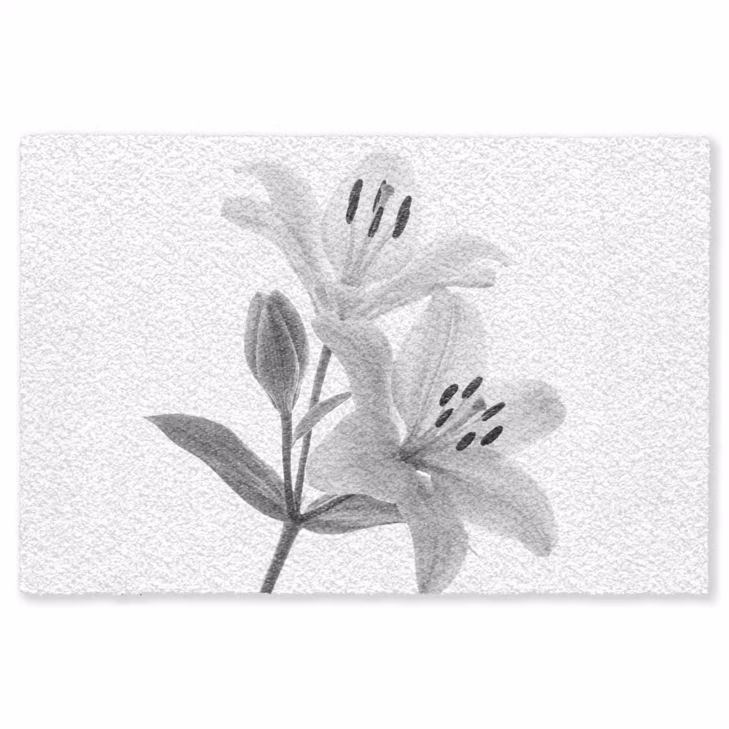 Lelies - Elegant - Zwart - Wit Vloerkleed Rechthoek klein -3d
