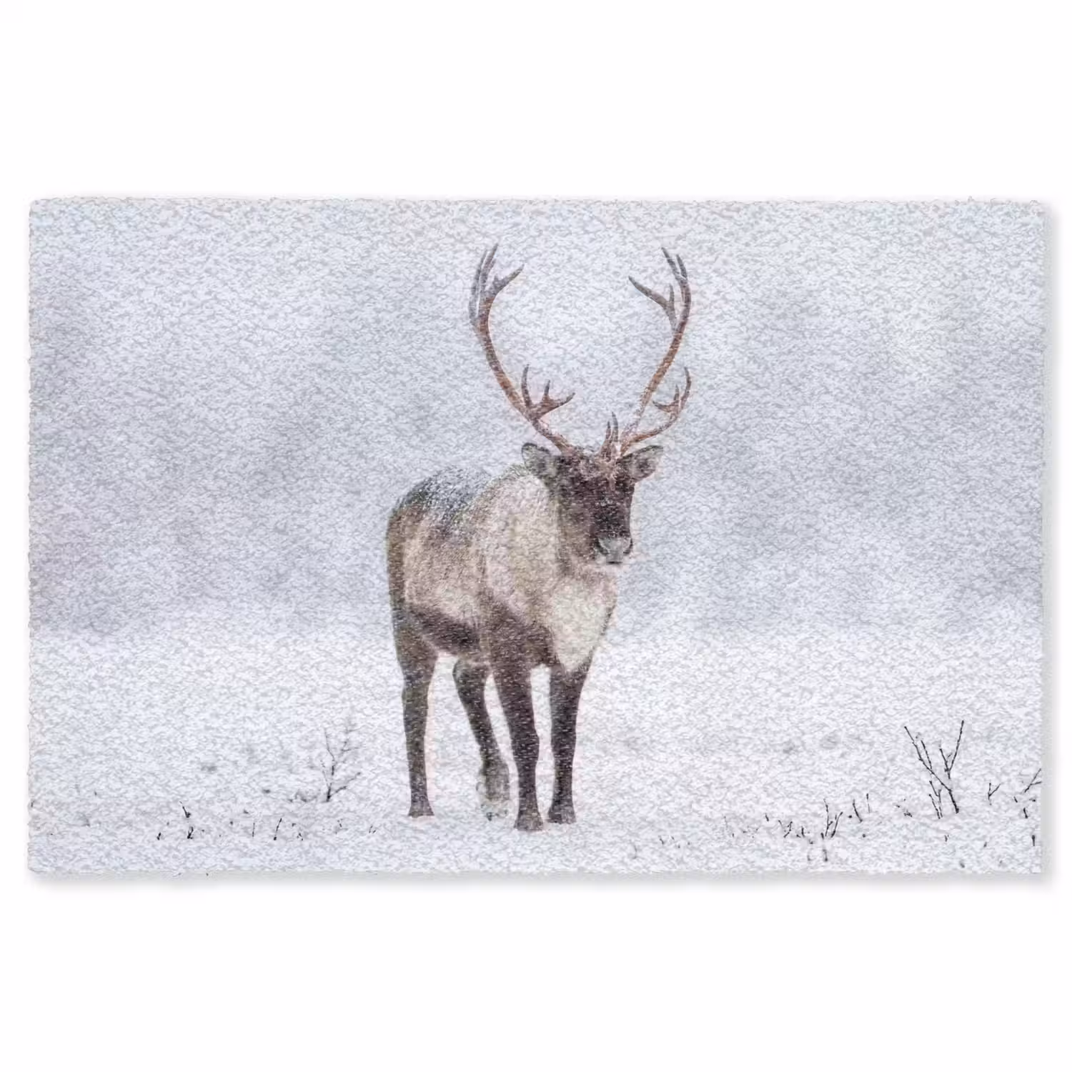 Rendier - Gewei - Toendra - Sneeuw - Wild Vloerkleed Rechthoek klein -3d