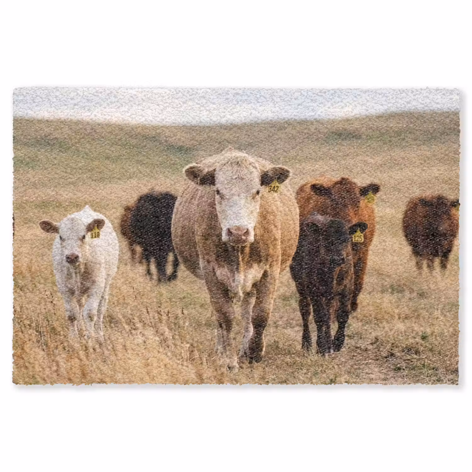 Runderen - Kudde - Landschap - Weide - Rustig Vloerkleed Rechthoek klein -3d
