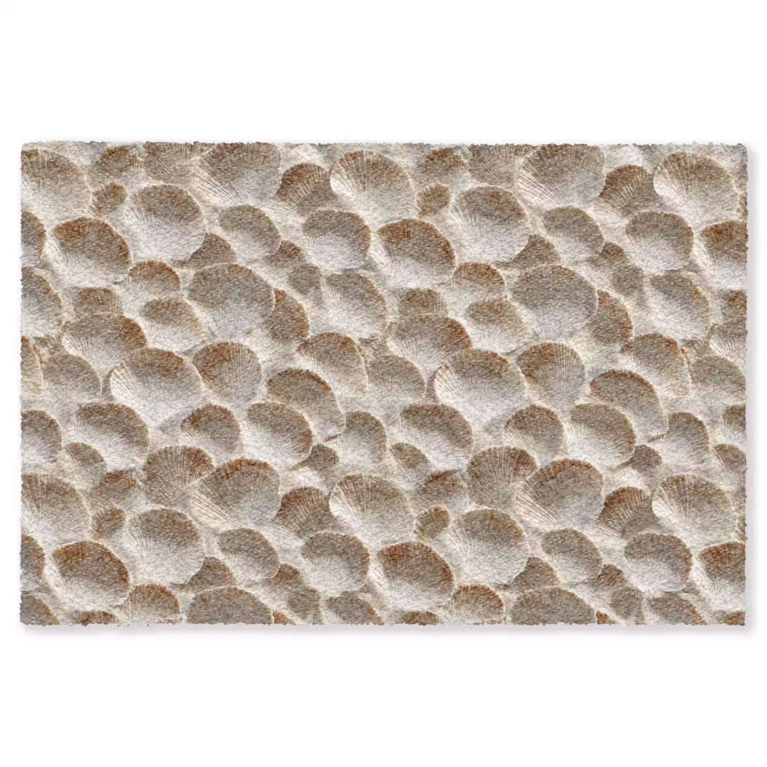 Schelpen - Waaiervorm - Wit Vloerkleed Rechthoek klein 1091 -3d