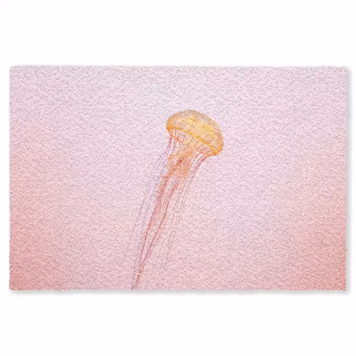 Sierlijk - Kwal - Roze Vloerkleed Rechthoek klein -3d