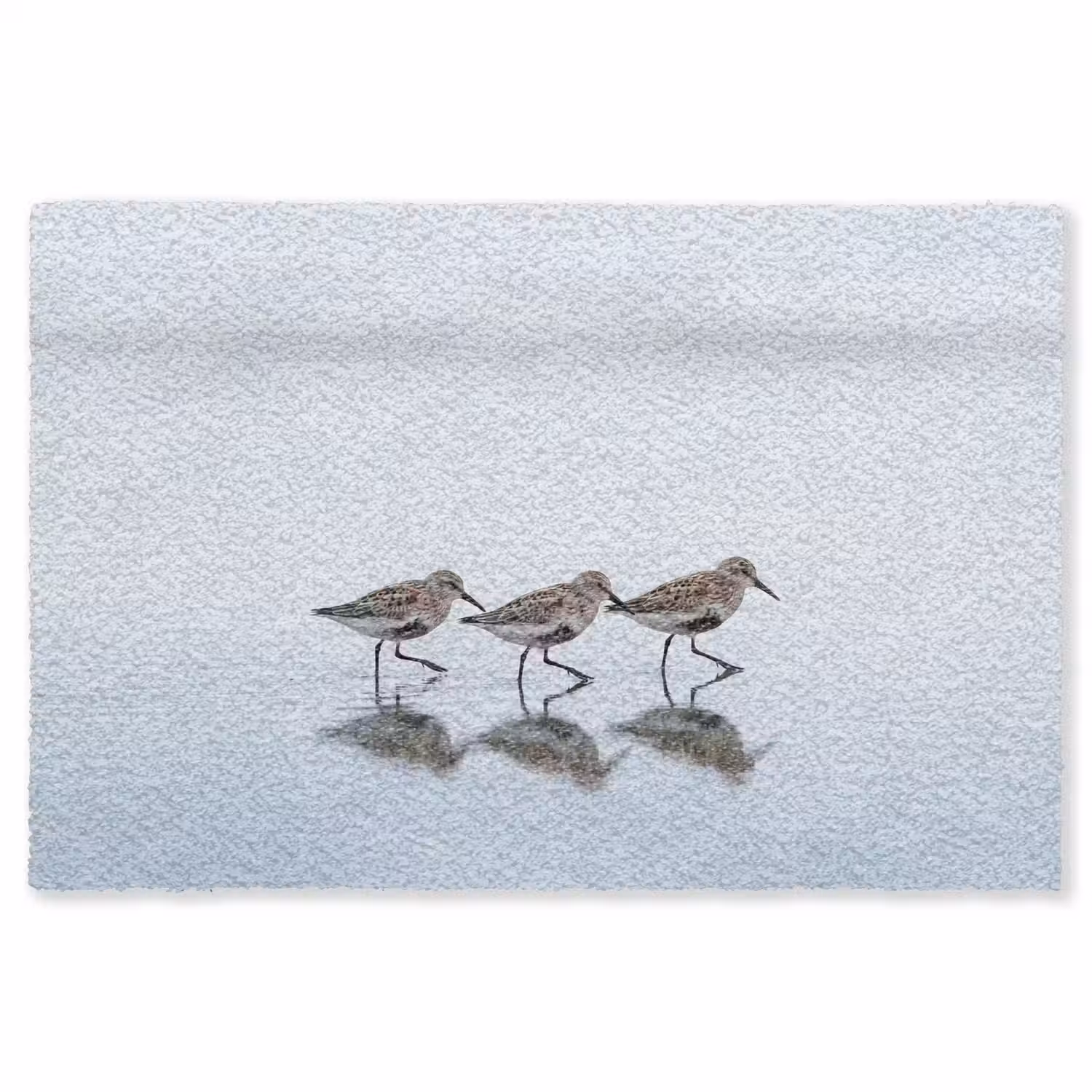 Vogels - Water - Grijs Vloerkleed Rechthoek klein -3d