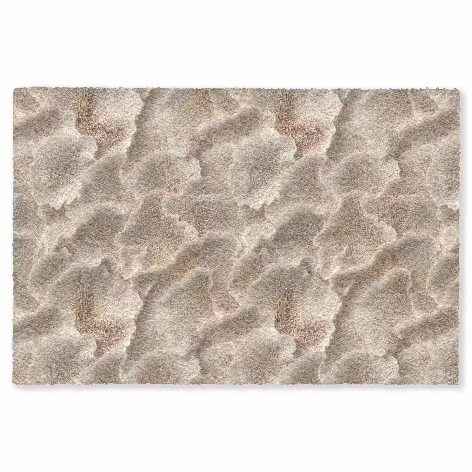 Waaierstructuren - Beige - Vezeltextuur Vloerkleed Rechthoek klein 1091 -3d