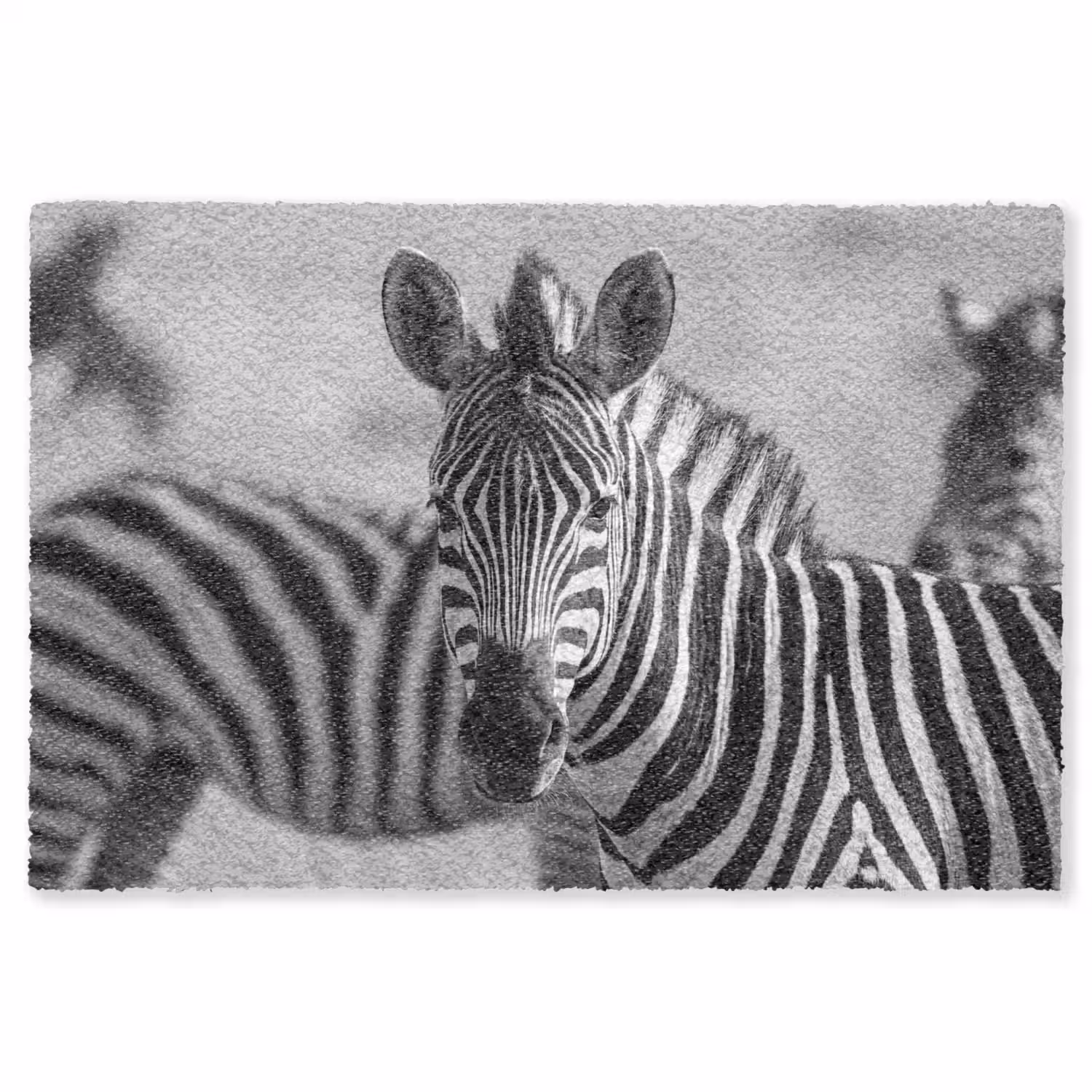 Zebra's - Zwart - Wit Vloerkleed Rechthoek klein -3d
