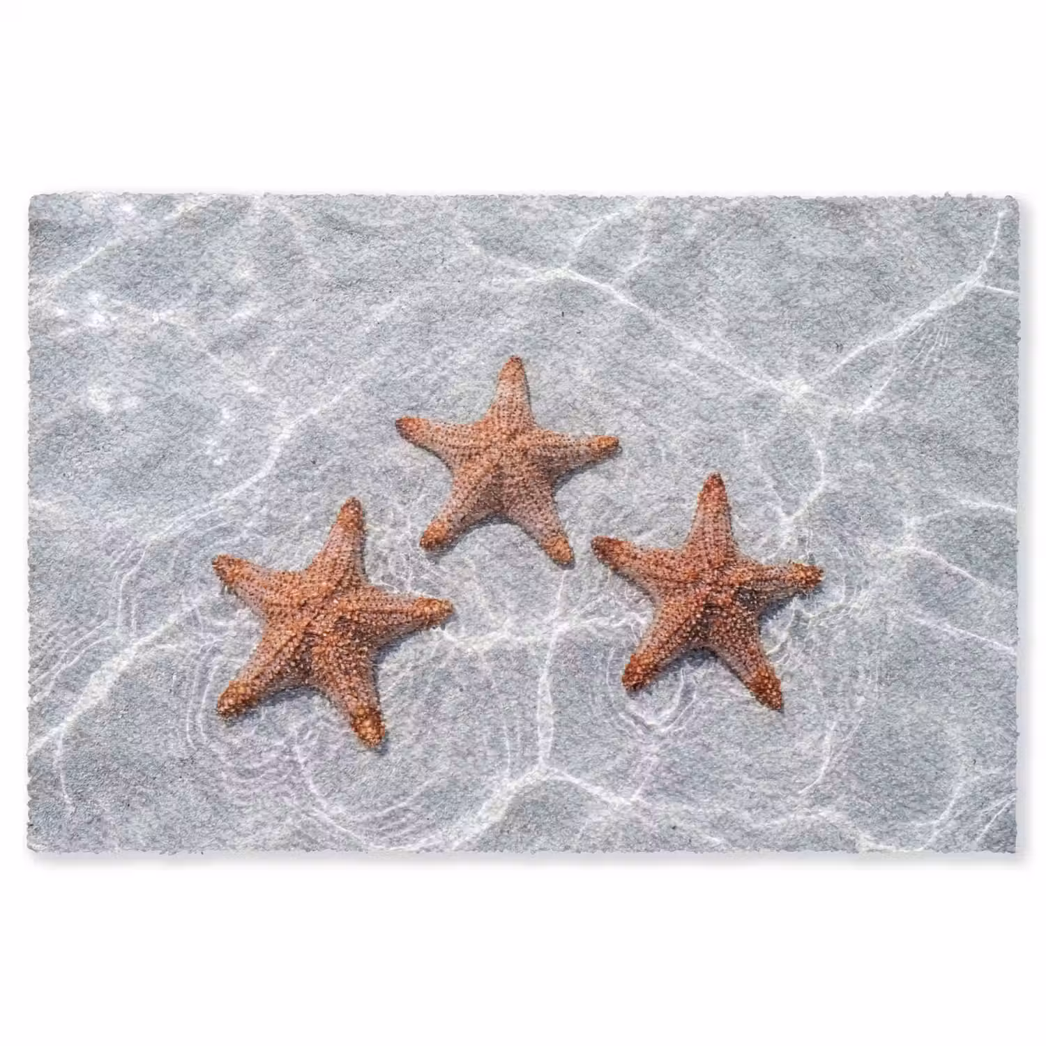Zeesterren - Water - Helder Vloerkleed Rechthoek klein -3d