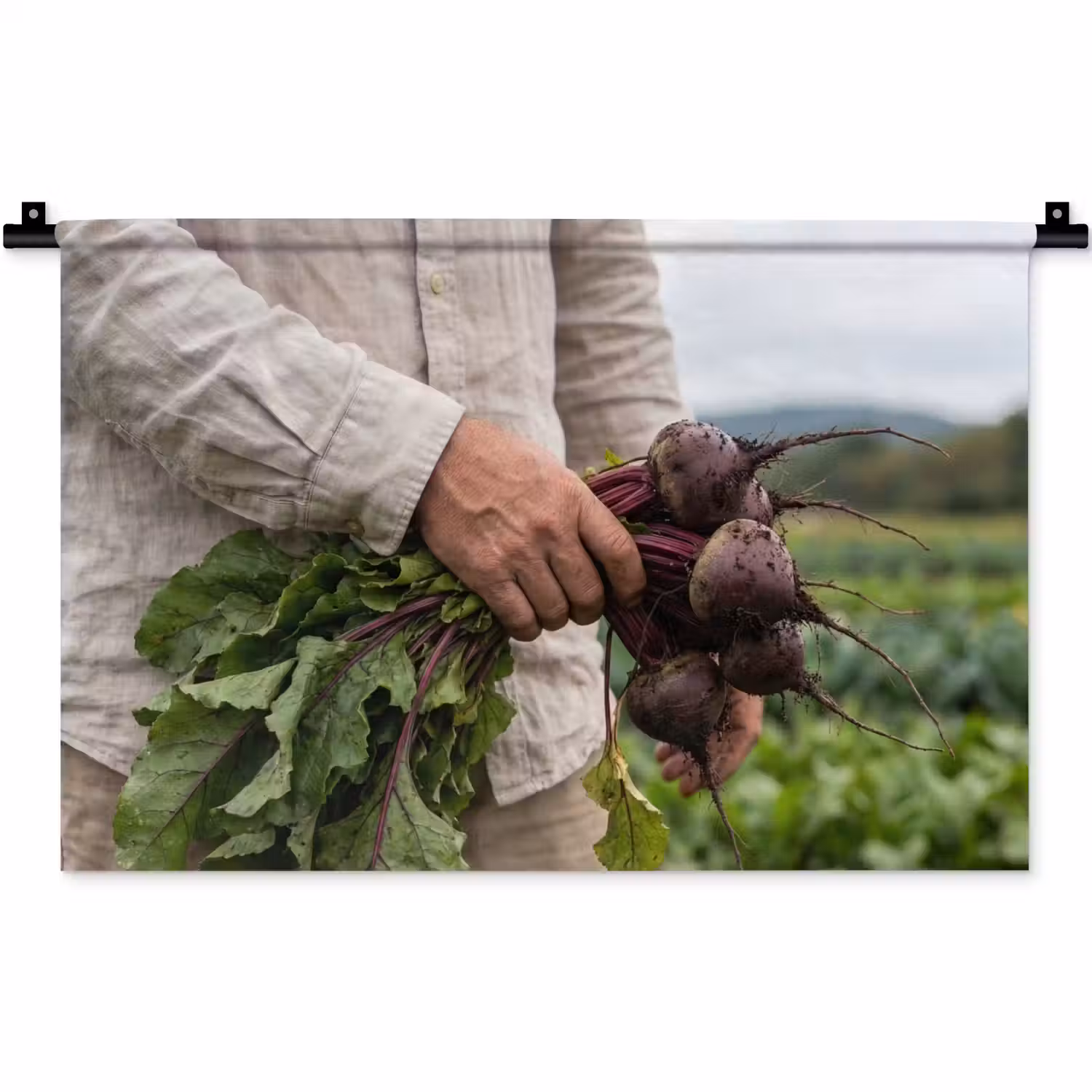 Bieten - Vers - Moestuin Wandkleed katoen klein -zz3d