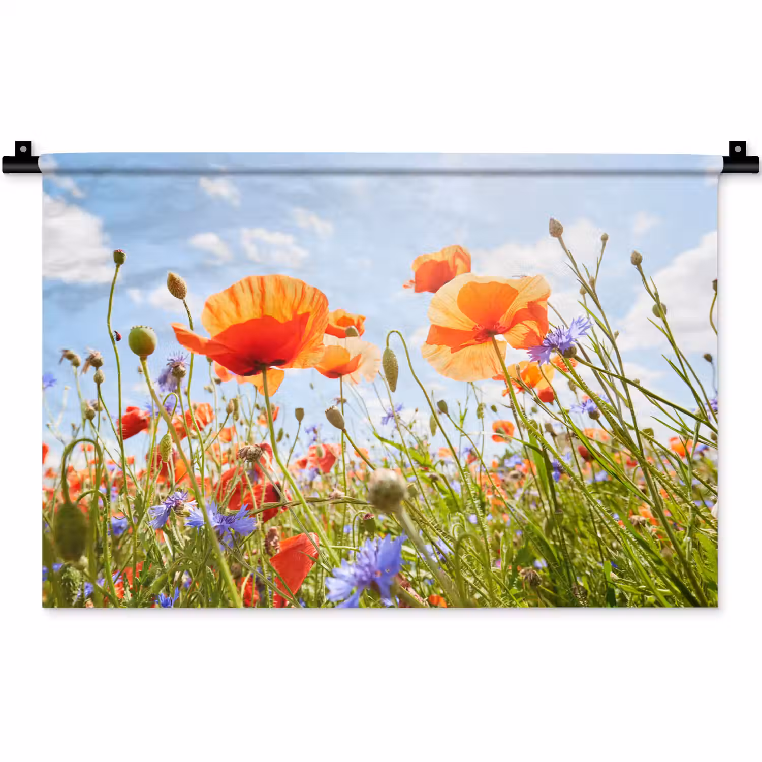 Bloemen - Klaproos - Lente - Natuur - Rood - Blauw Wandkleed katoen klein -zz3d
