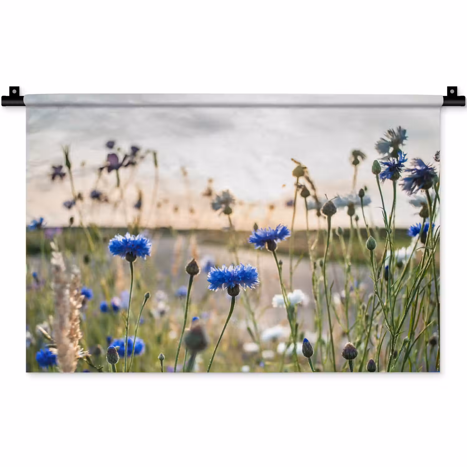 Bloemen - Zomer - Korenbloem - Blauw - Zon - Wolken Wandkleed katoen klein -zz3d