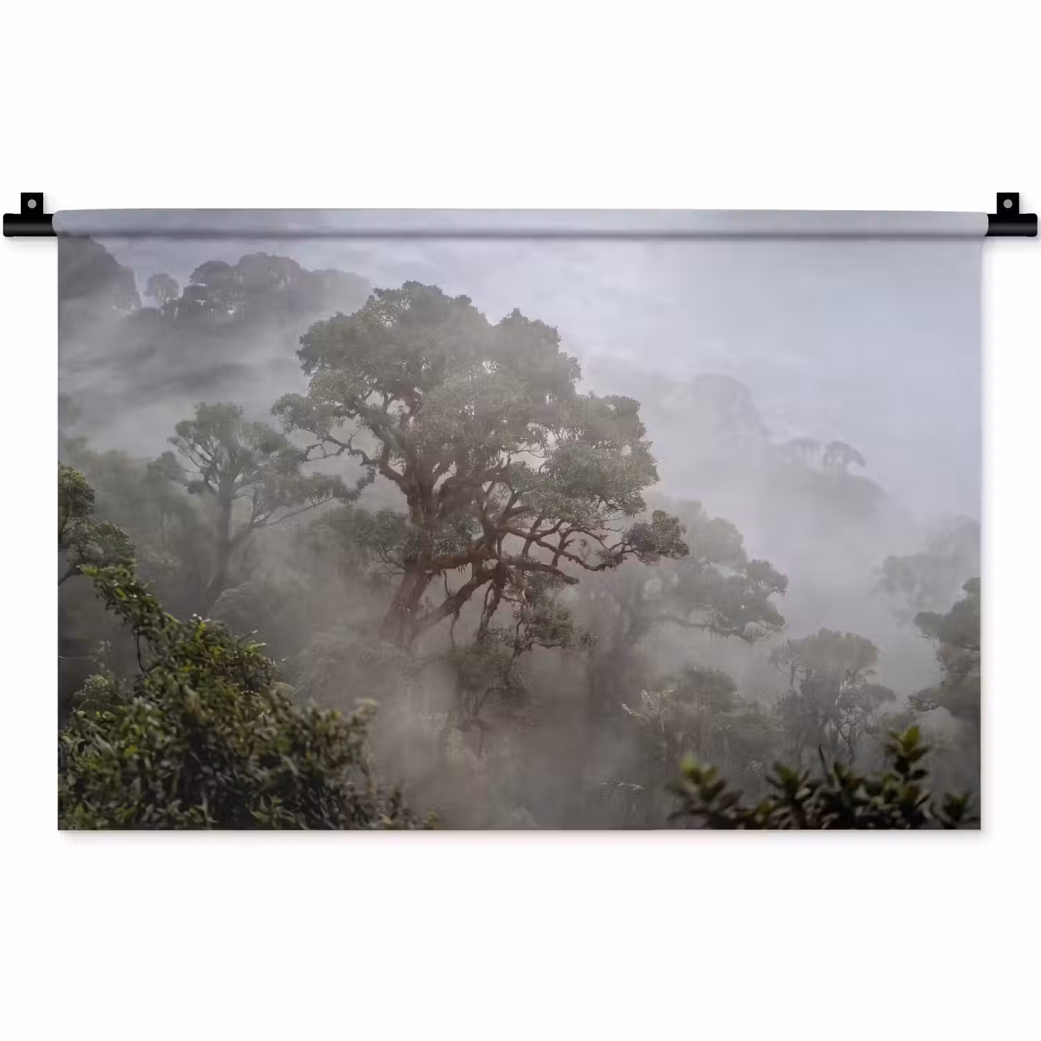 Boom - Mistig - Bos - Groen - Natuur Wandkleed katoen klein -zz3d