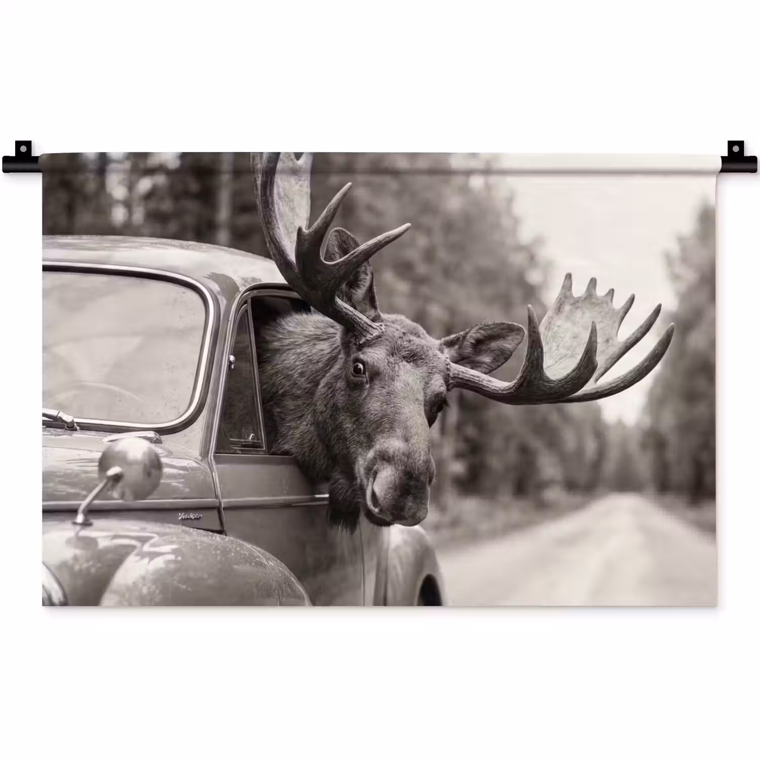 Eland - Auto - Gewei - Zwart - Wit Wandkleed katoen klein -zz3d