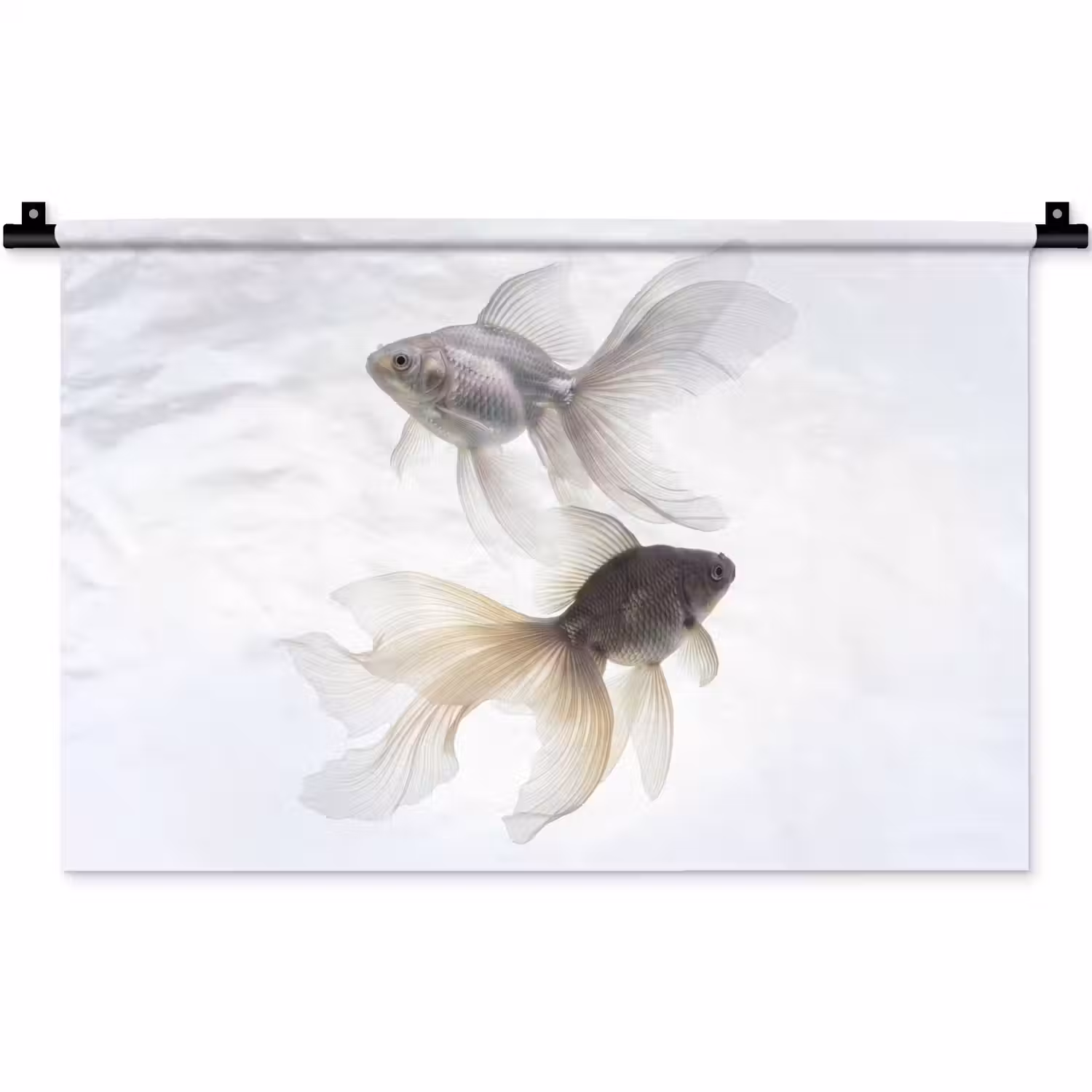 Goudvissen - Modern - Wit Wandkleed katoen klein -zz3d