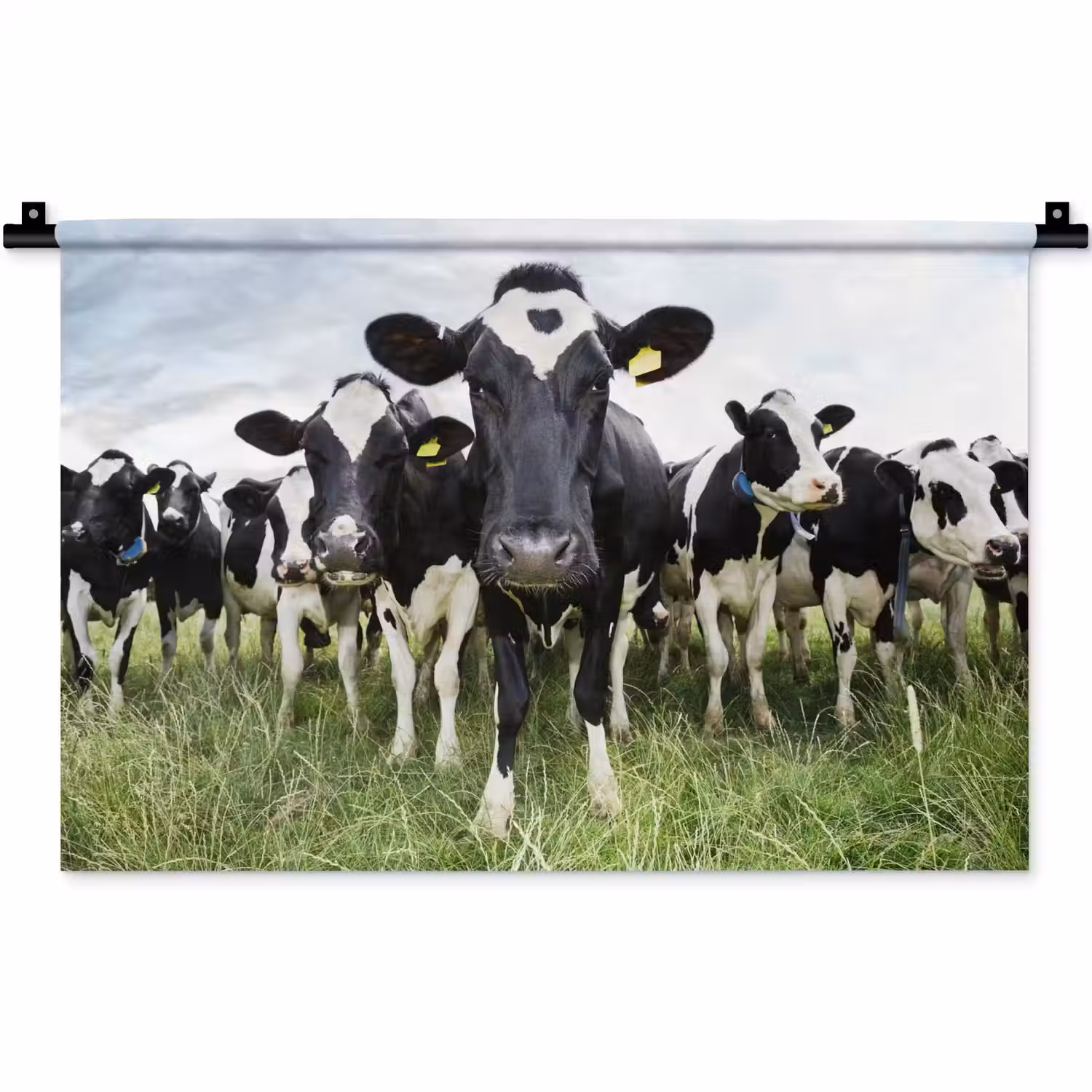 Koeien - Gras - Lente - Dieren - Weiland - Boerderij Wandkleed katoen klein -zz3d