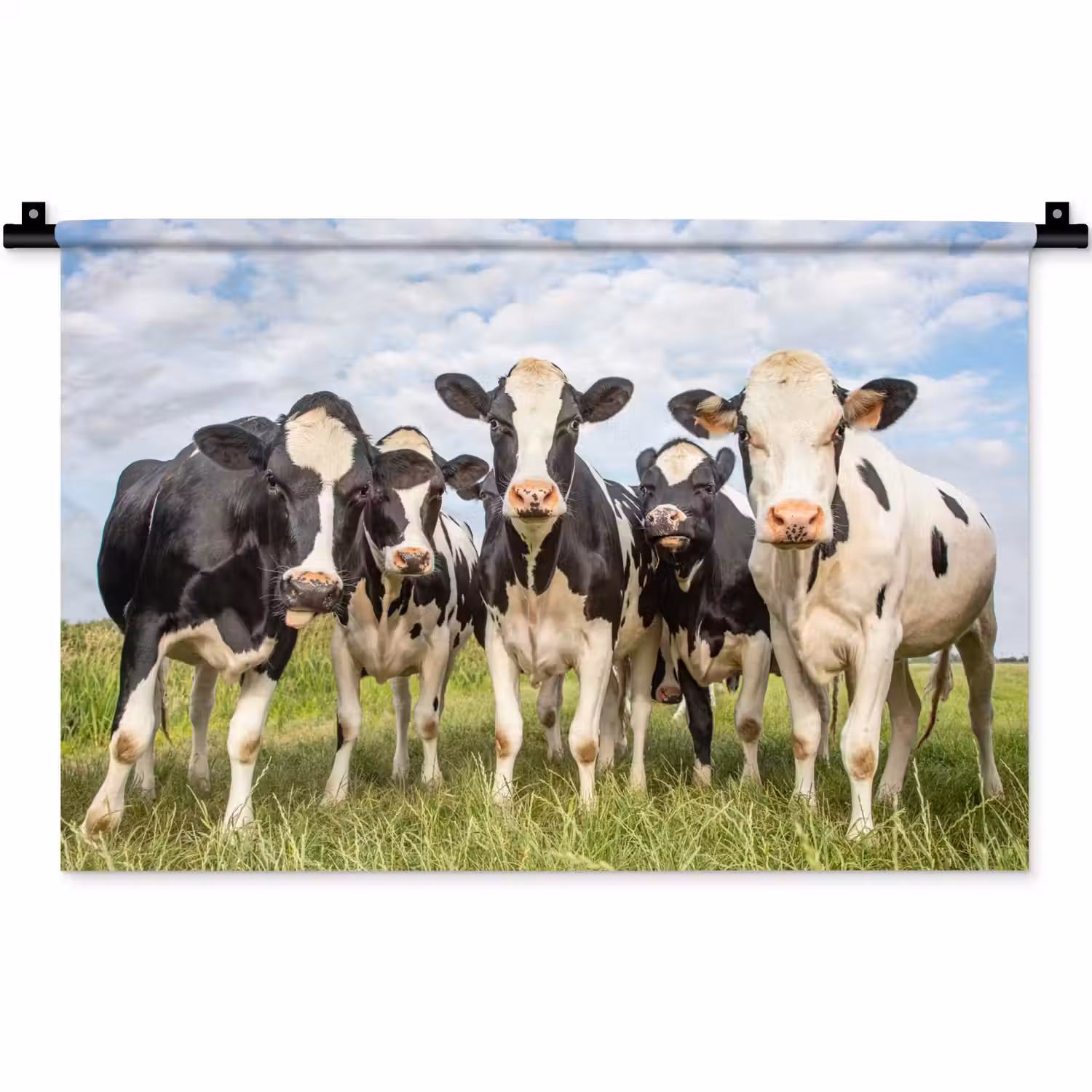 Koeien - Weiland - Dieren - Natuur - Gras Wandkleed katoen klein -zz3d