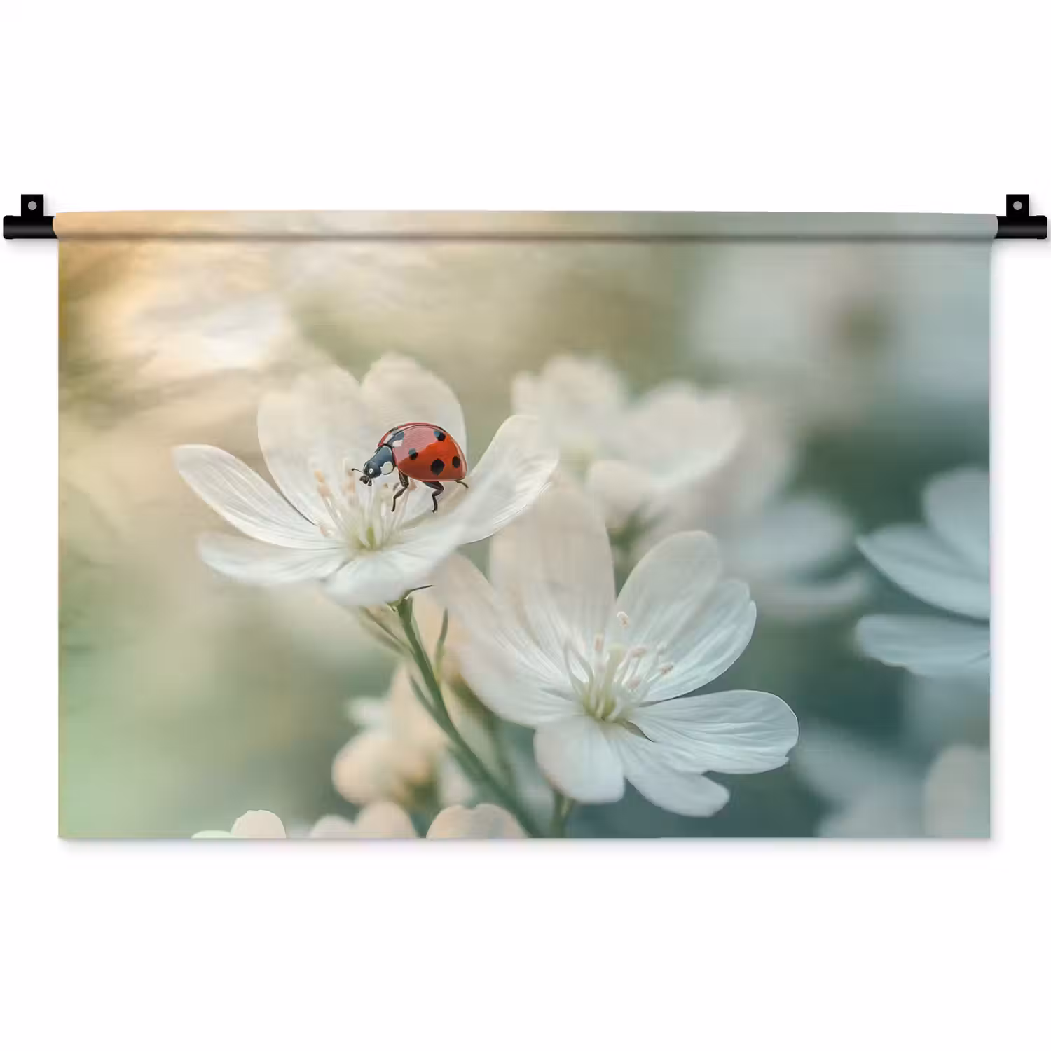 Lieveheersbeestje - Bloemen - Wit Wandkleed katoen klein -zz3d