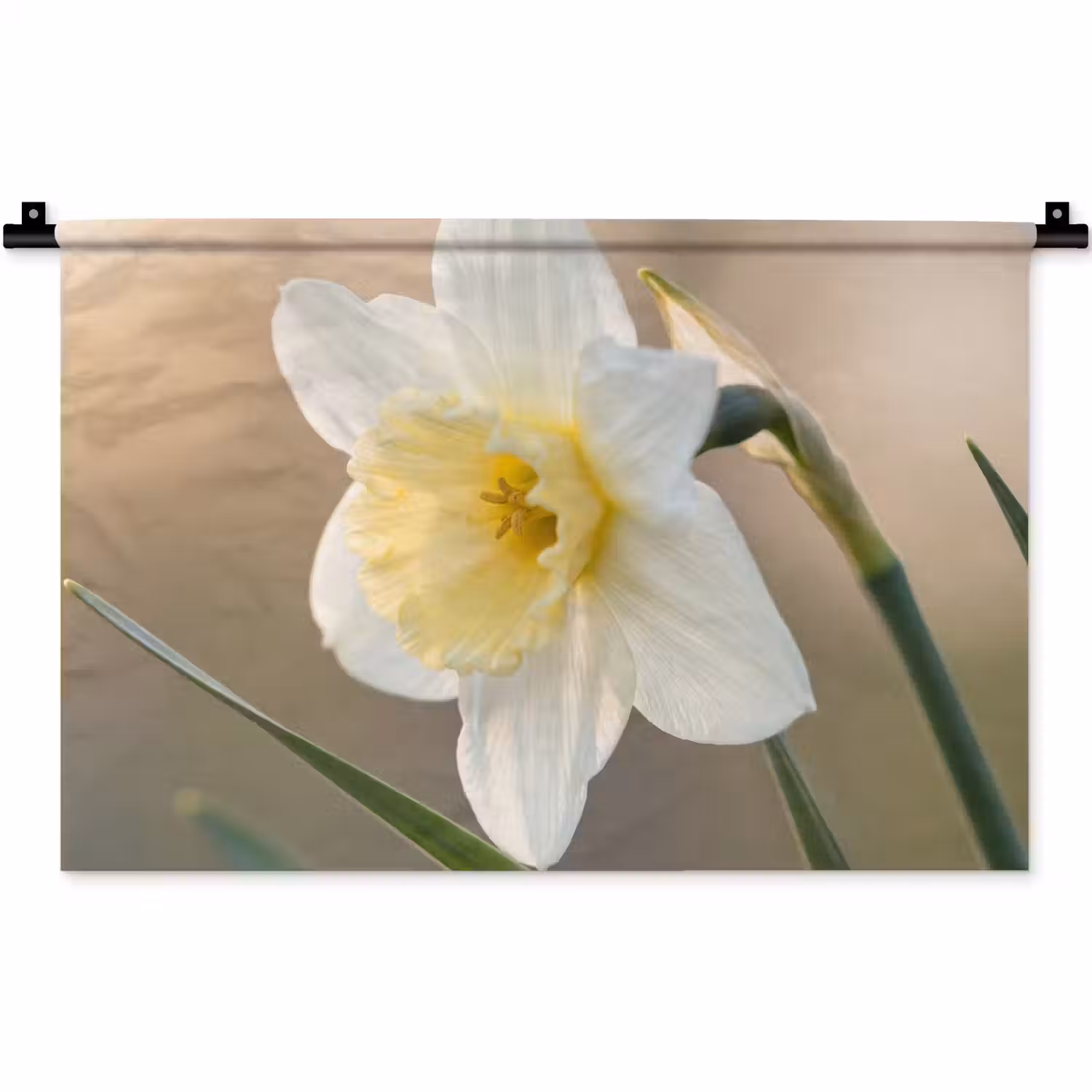 Narcis - Bloem - Minimalistisch Wandkleed katoen klein -zz3d