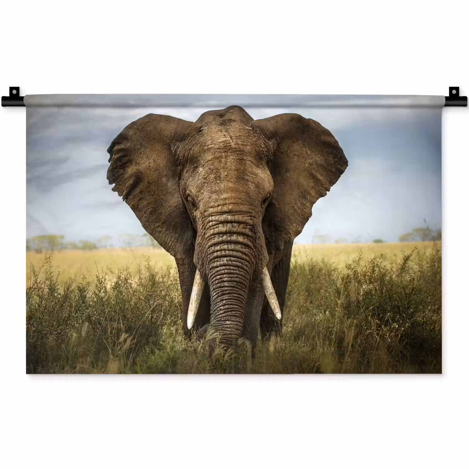 Olifant - Natuur - Gras - Dieren - Landschap Wandkleed katoen klein -zz3d