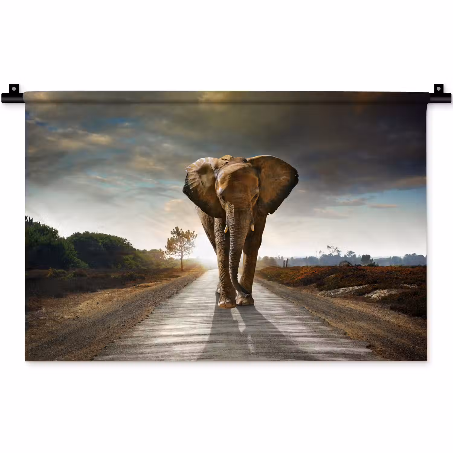 Olifant - Weg - Dieren - Zonsondergang - Landschap Wandkleed katoen klein -zz3d
