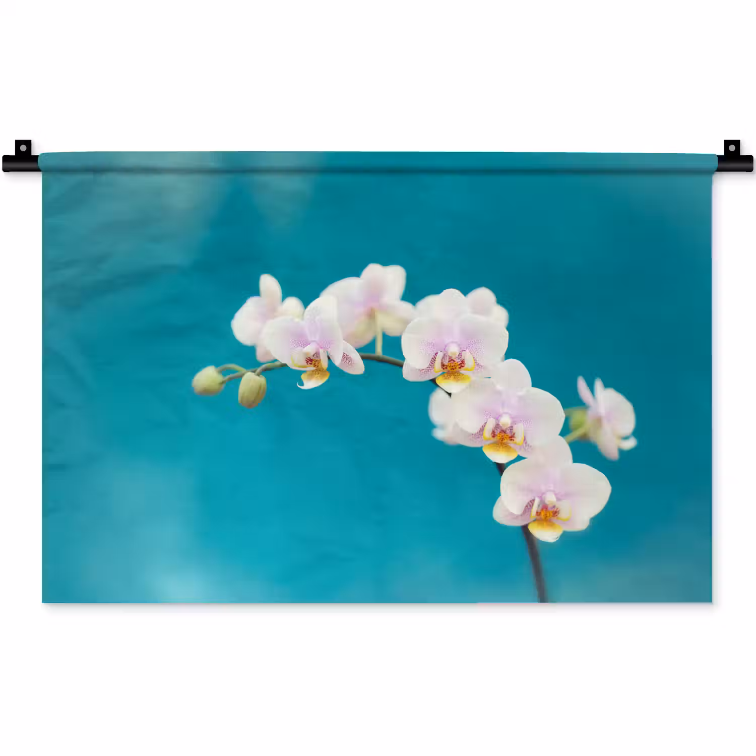 Orchidee - Bloemen - Plant - Wit - Paars Wandkleed katoen klein -zz3d