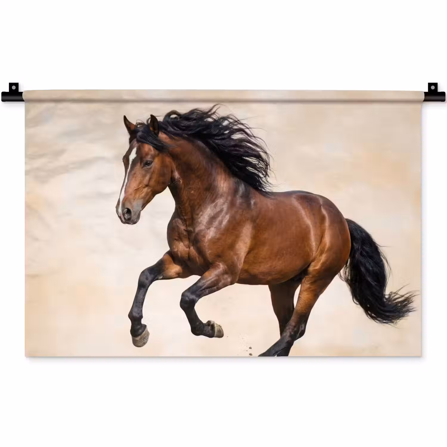 Paard - Galop - Energie Wandkleed katoen klein -zz3d