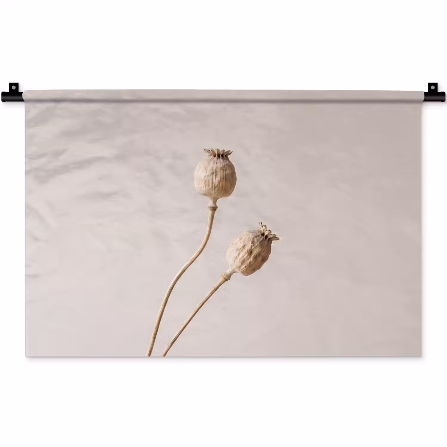 Papaverbollen - Droogbloemen - Minimalistisch - Beige - Rustig Wandkleed katoen klein -zz3d