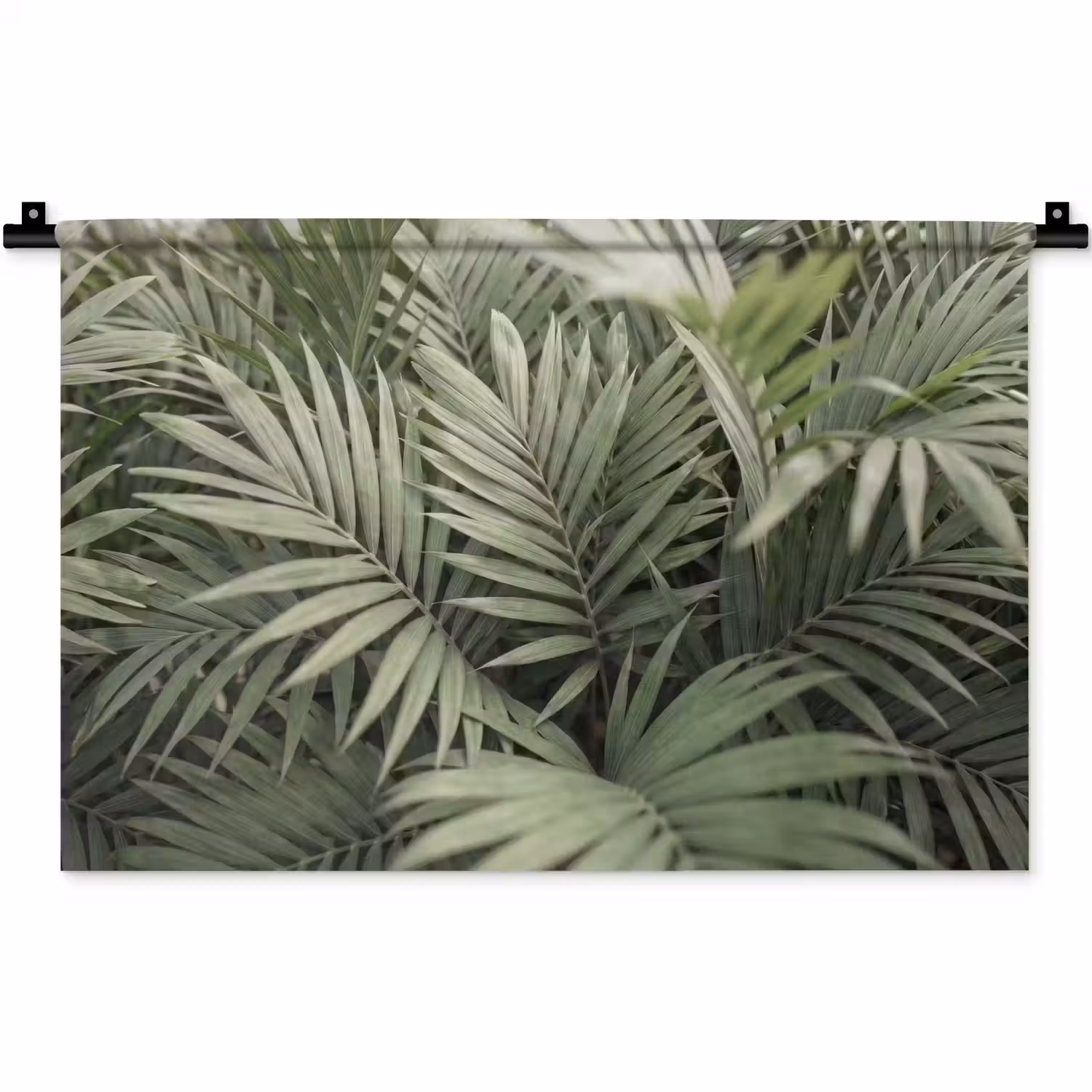 Plant - Palmbladeren - Natuur - Groen Wandkleed katoen klein -zz3d