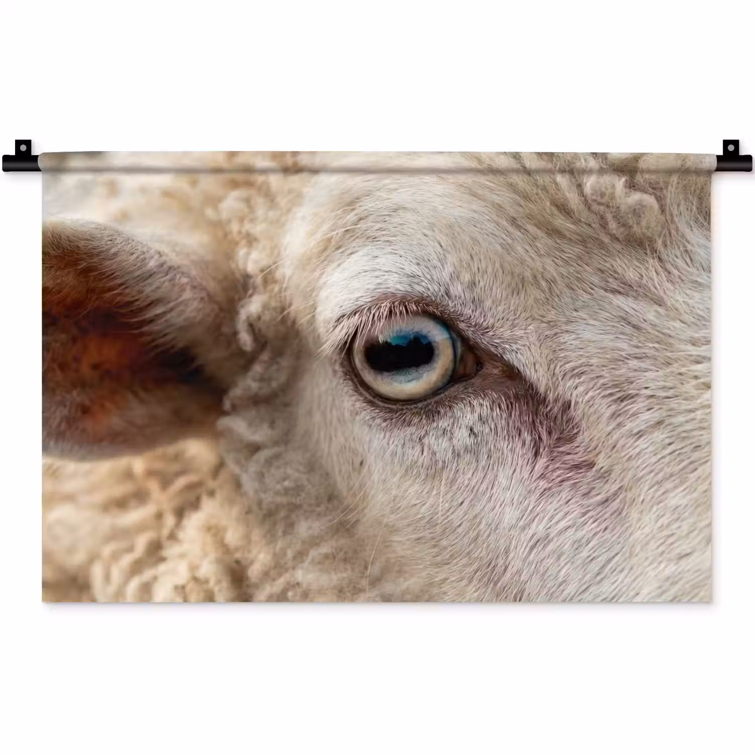 Schaap - Oog - Wit Wandkleed katoen klein -zz3d