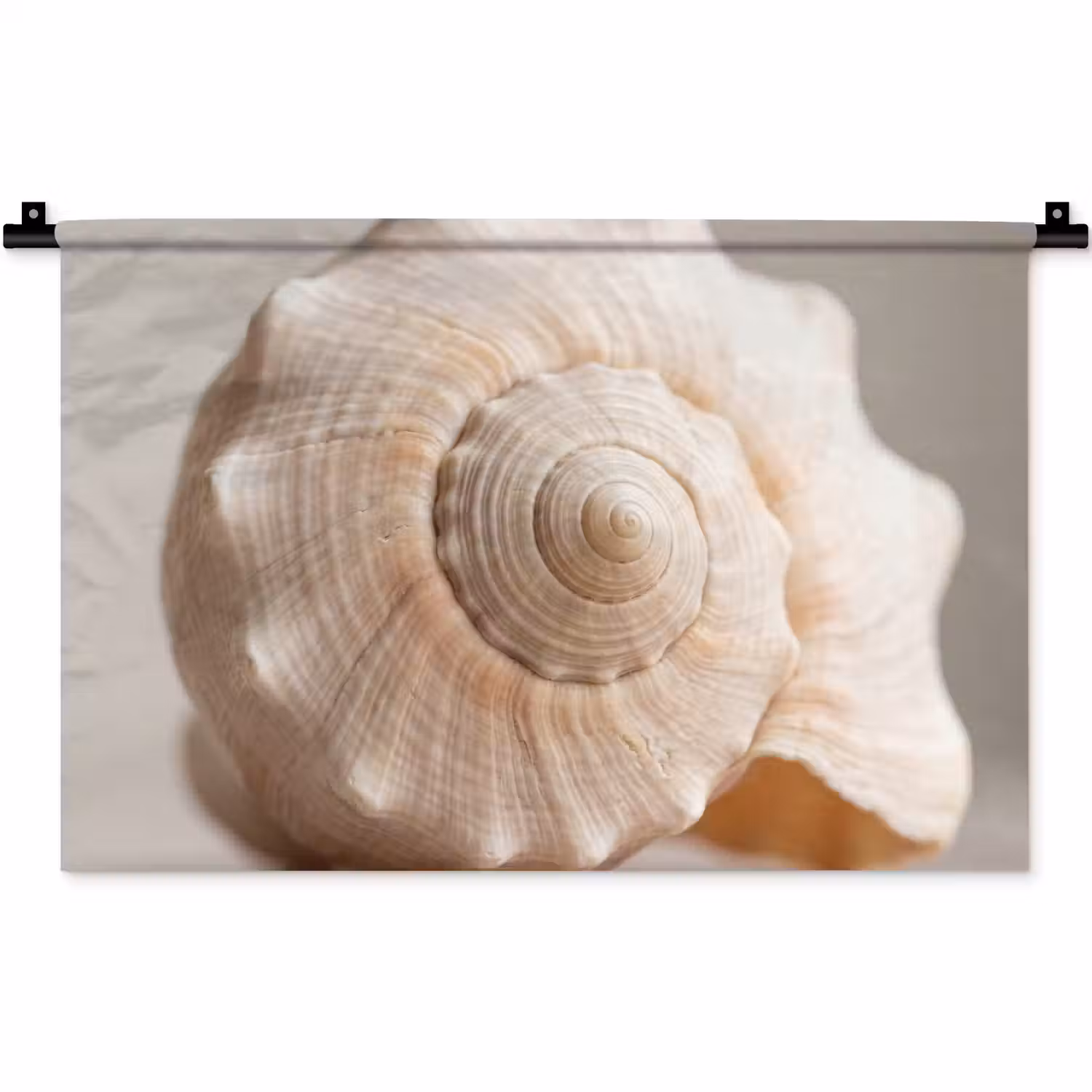 Schelp - Detail - Beige Wandkleed katoen klein -zz3d
