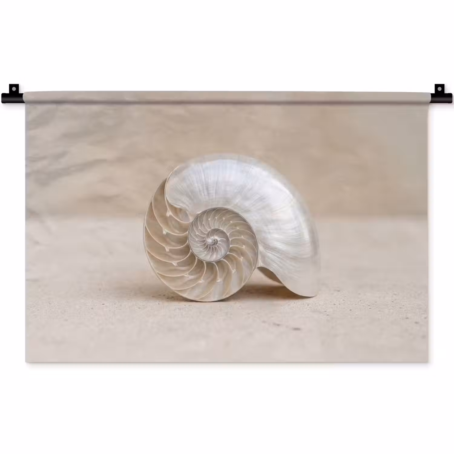Schelp - Spiraal - Beige Wandkleed katoen klein -zz3d