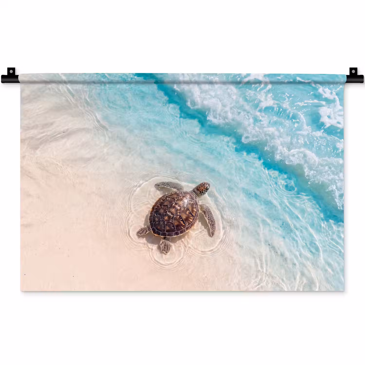 Schildpad - Helder water - Strand - Dieren - Natuur Wandkleed katoen klein -zz3d