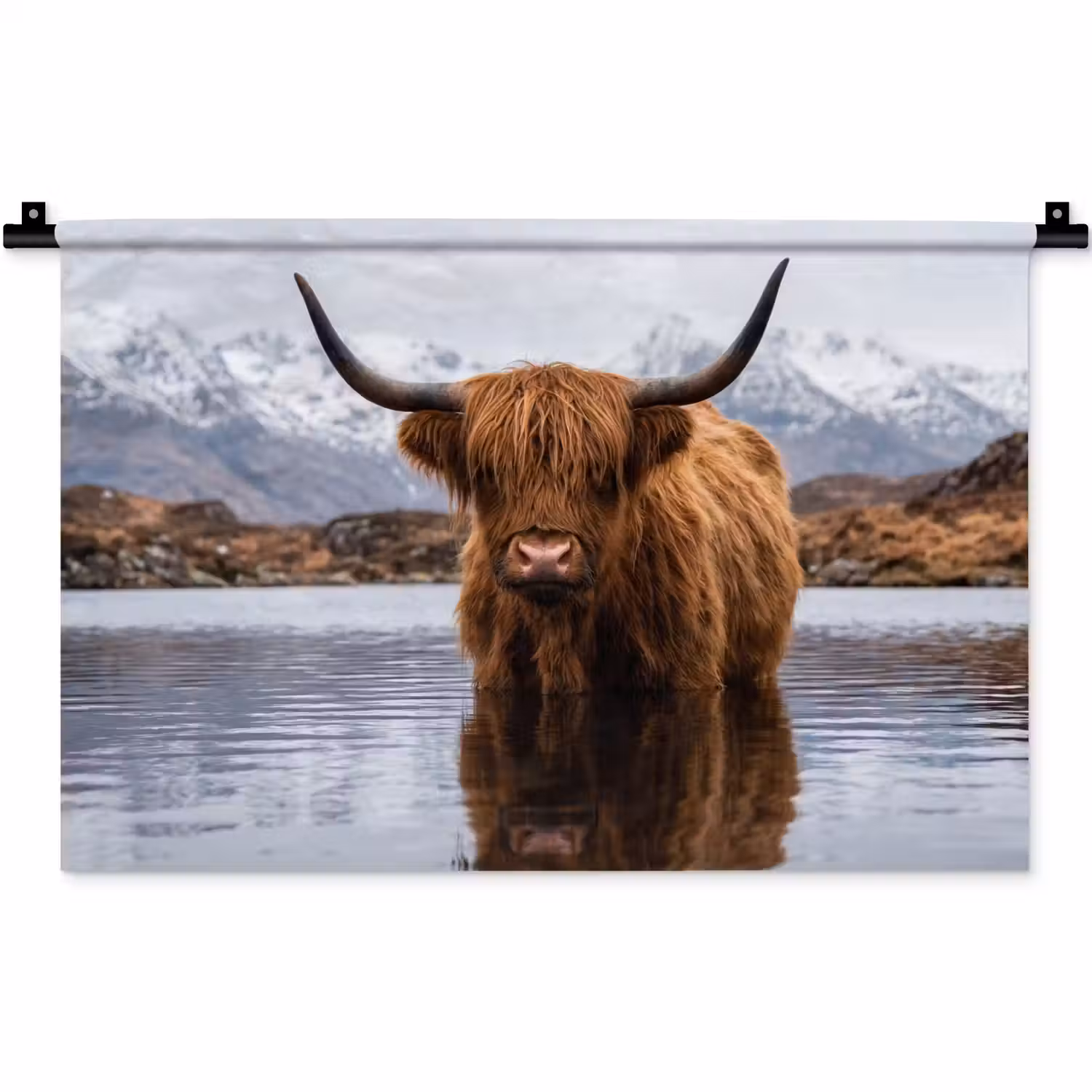 Schotse hooglander - Bruin - Water Wandkleed katoen klein -zz3d