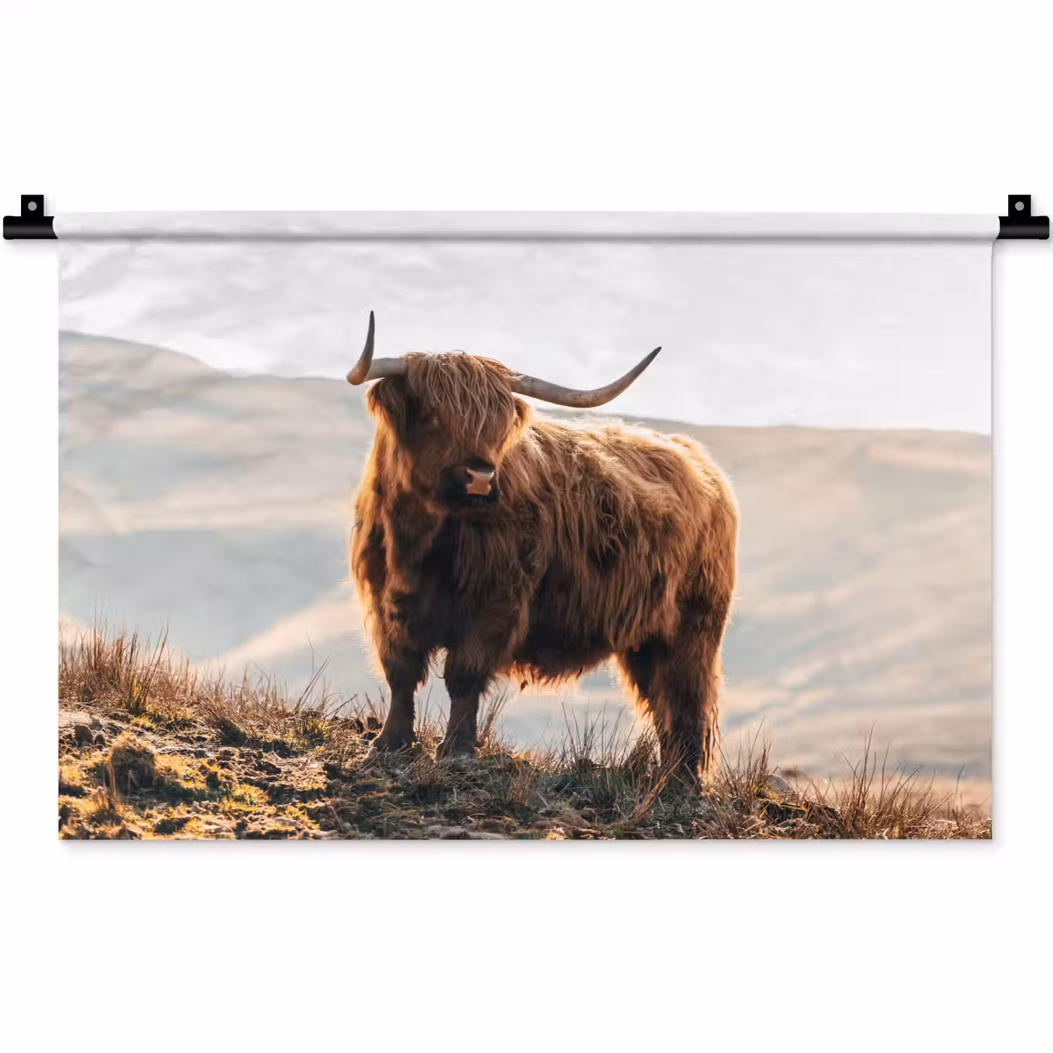 Schotse hooglander - Dieren - Landelijk - Landschap - Koe - Natuur Wandkleed katoen klein -zz3d