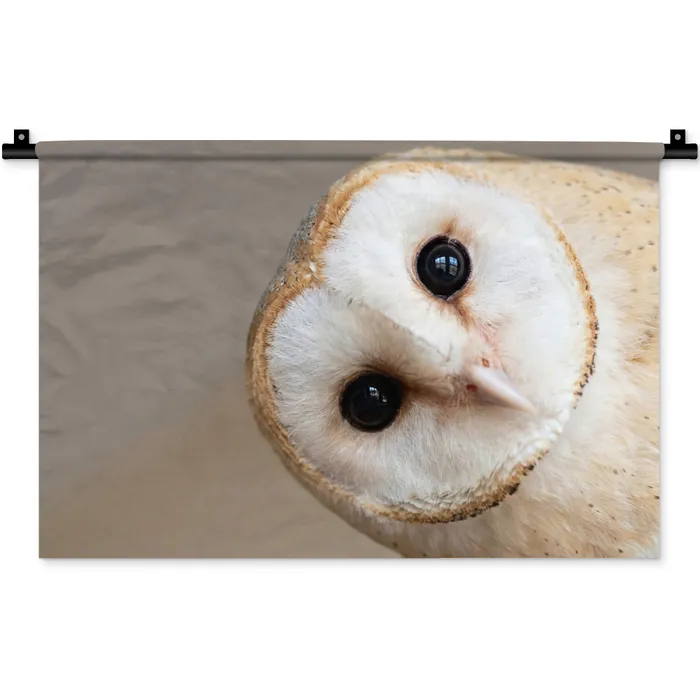 Uil - Bruin - Wit Wandkleed katoen klein -zz3d