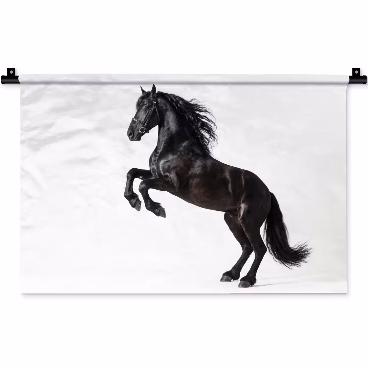 Zwart - Paard - Portret Wandkleed katoen klein -zz3d