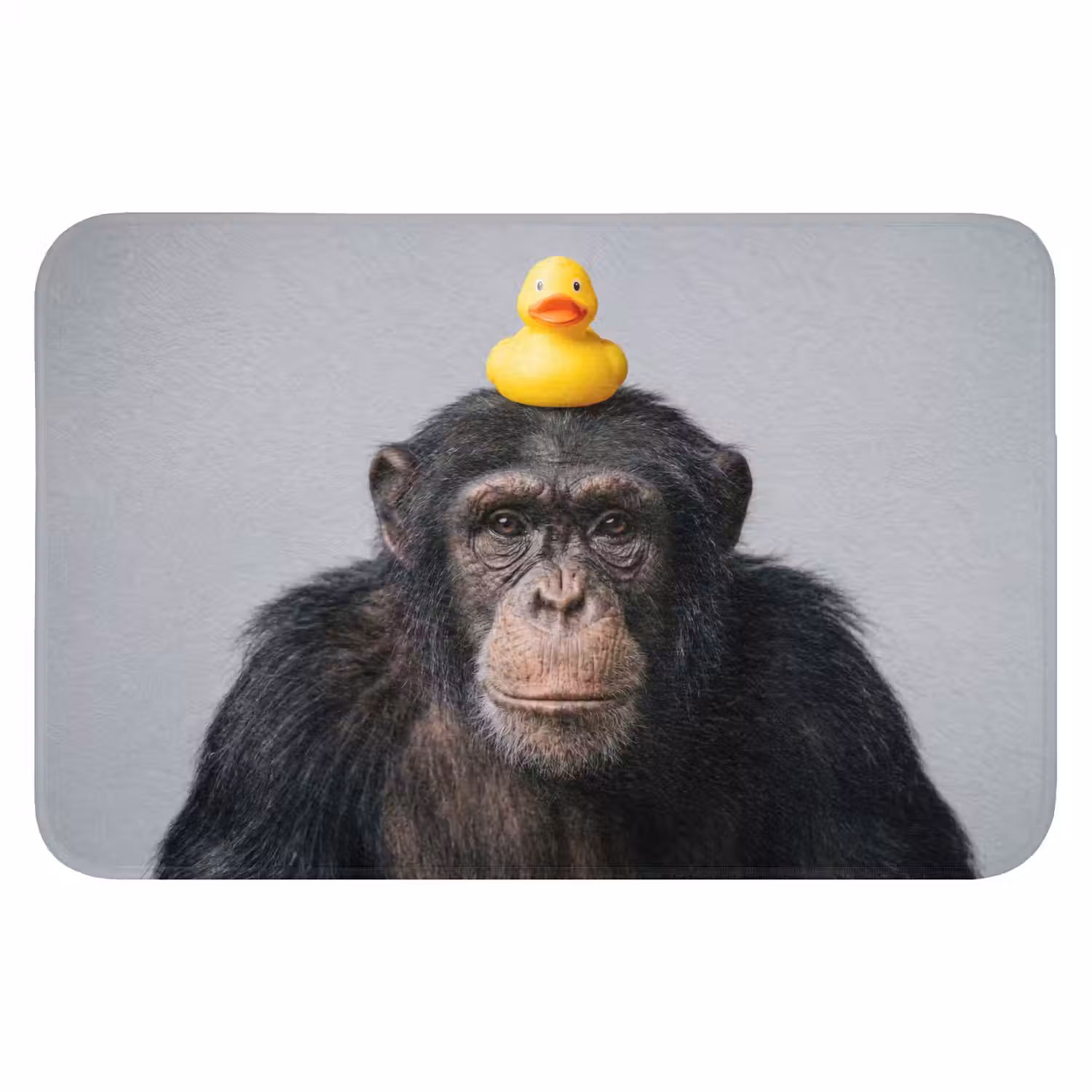 Chimpansee - Badeend - Grijs WCmat klein -3d