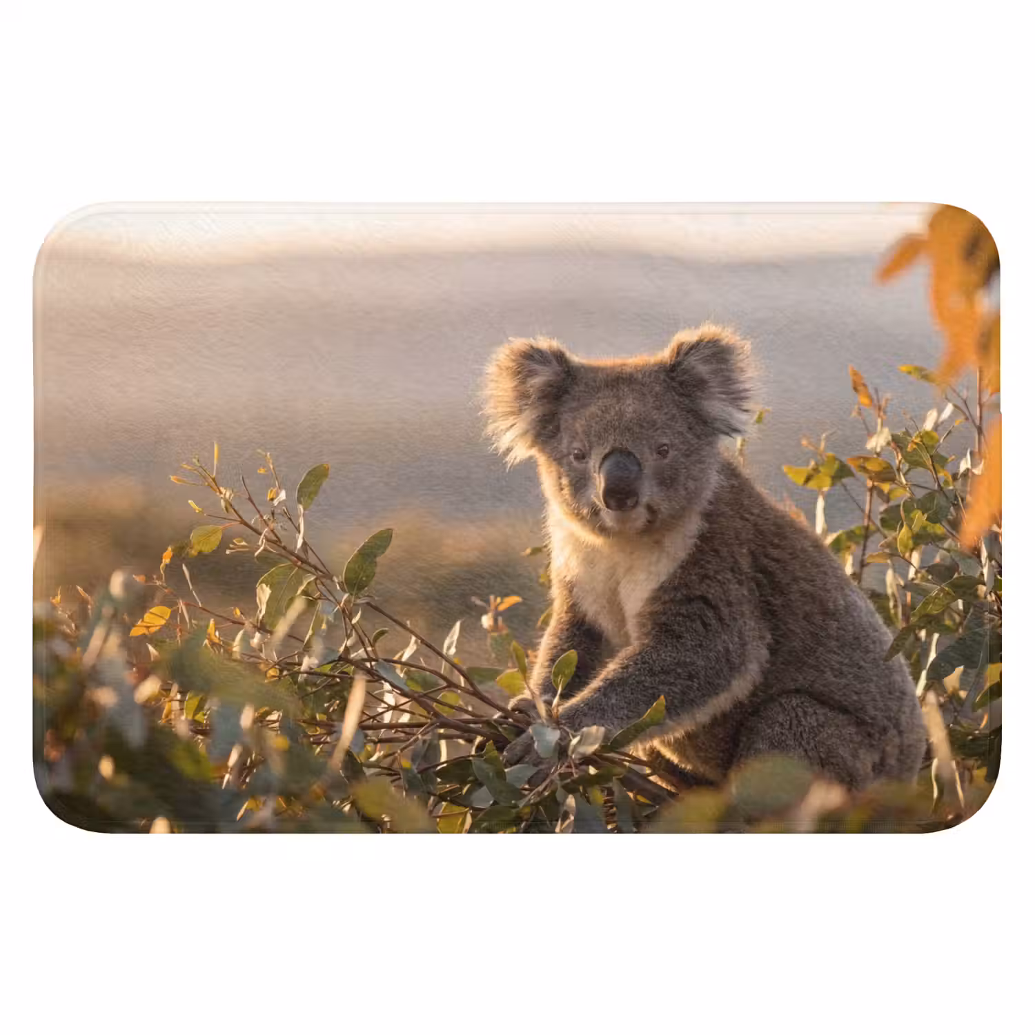 Koala - Bladeren - Ochtendlicht WCmat klein -3d