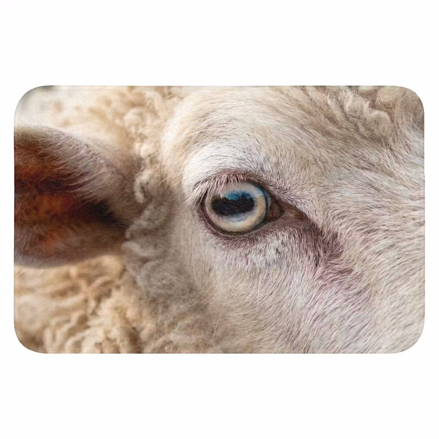 Schaap - Oog - Wit WCmat klein -3d