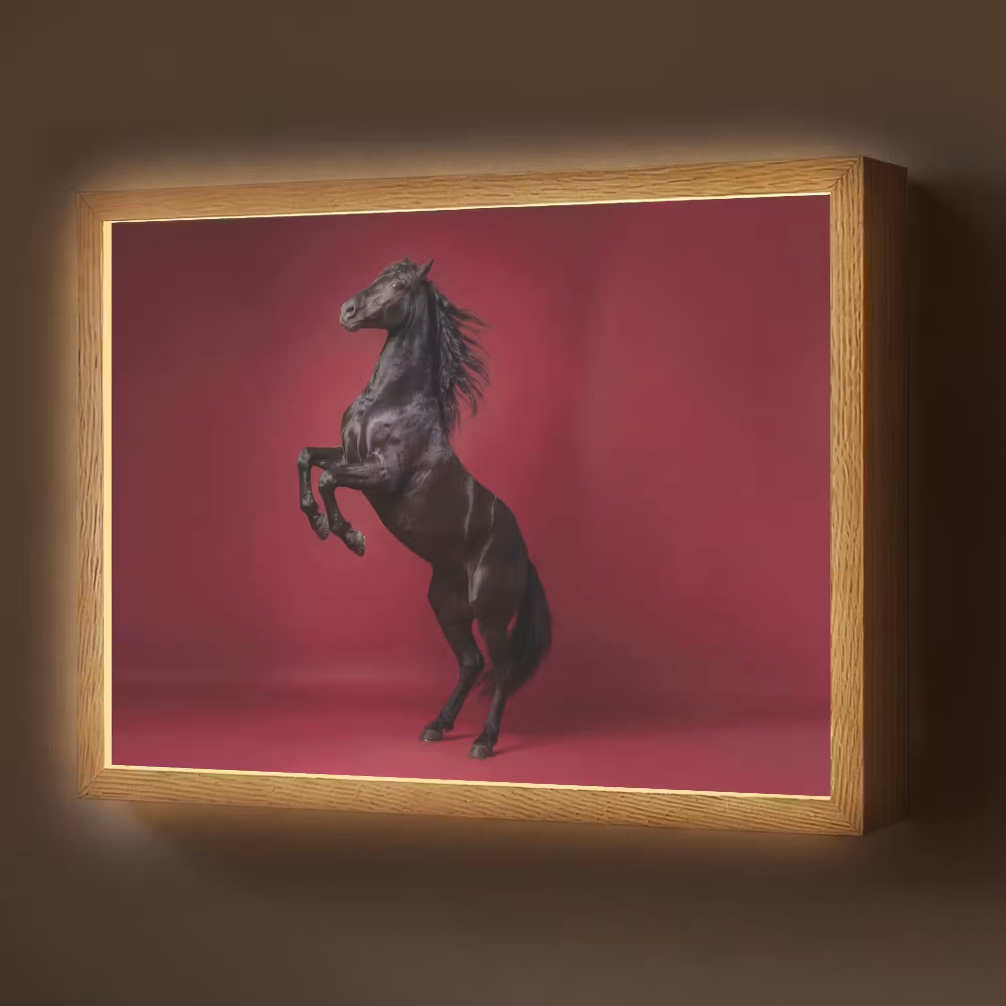 Lightbox - Wandlamp - Hengst - Steigert - Rood