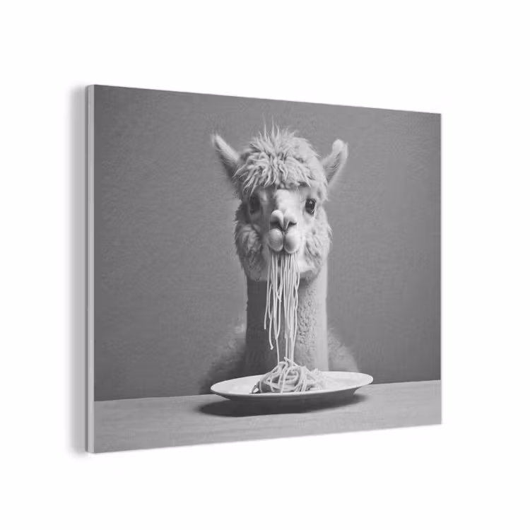 Alpaca - Pasta - Zwart - Wit - Grappig - Dieren PET vilt klein -3d