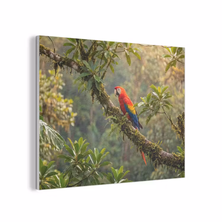 Ara - Jungle - Rood PET vilt klein -3d