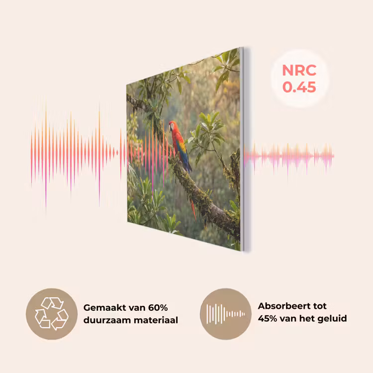 Ara - Jungle - Rood PET vilt klein -USP_NL
