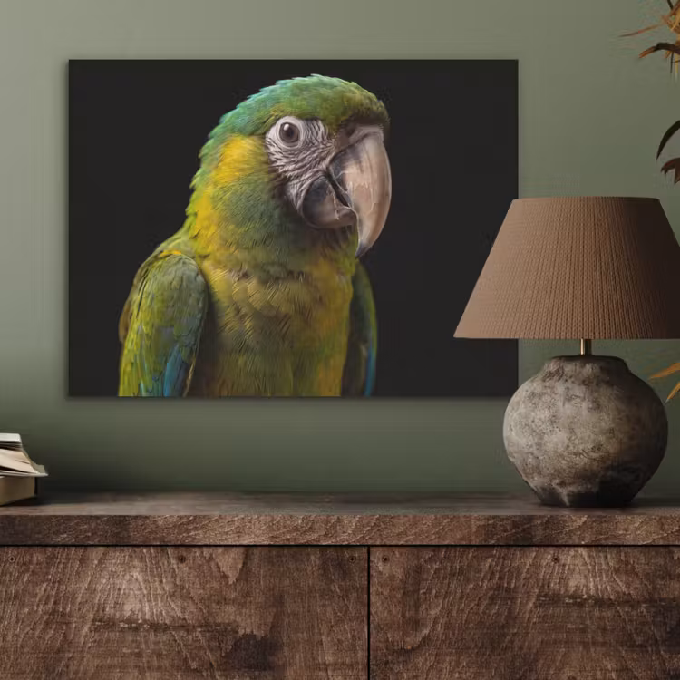 Ara - Portret - Groen PET vilt klein -sfeer2