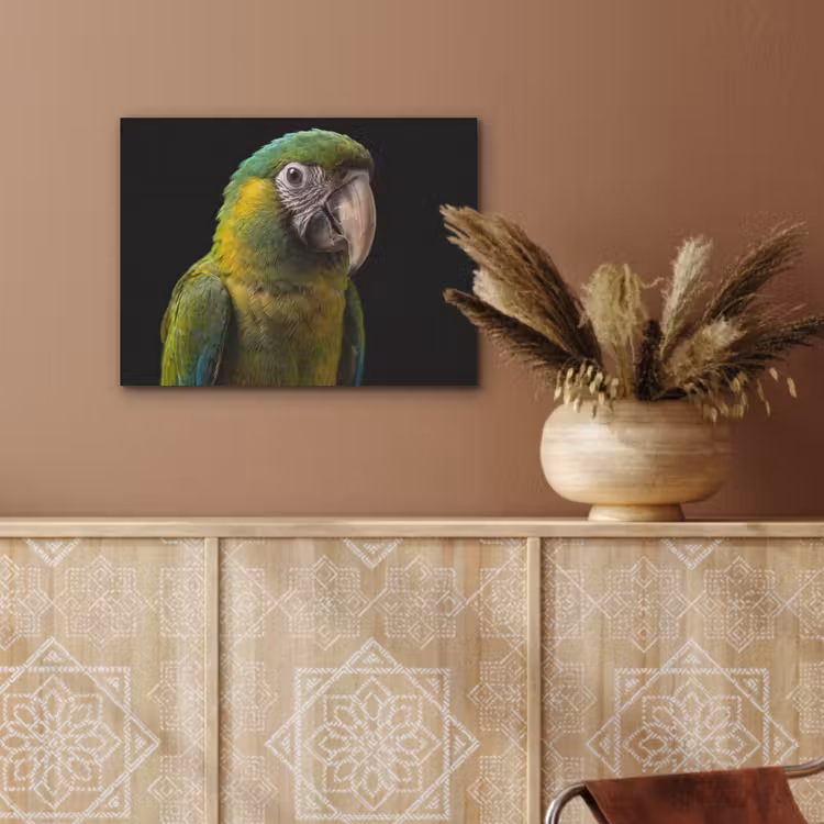 Ara - Portret - Groen PET vilt klein -sfeer4