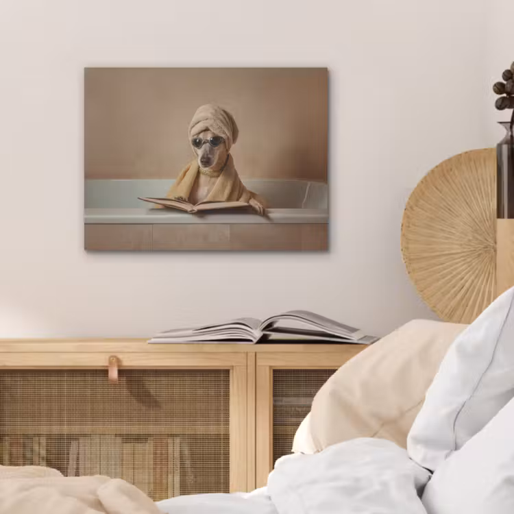 Bad - Hond - Boek - Zonnebril PET vilt klein -sfeer3
