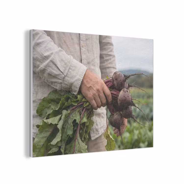Bieten - Vers - Moestuin PET vilt klein -3d
