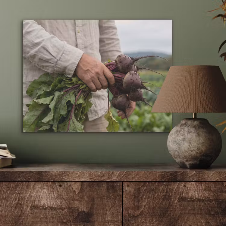 Bieten - Vers - Moestuin PET vilt klein -sfeer2