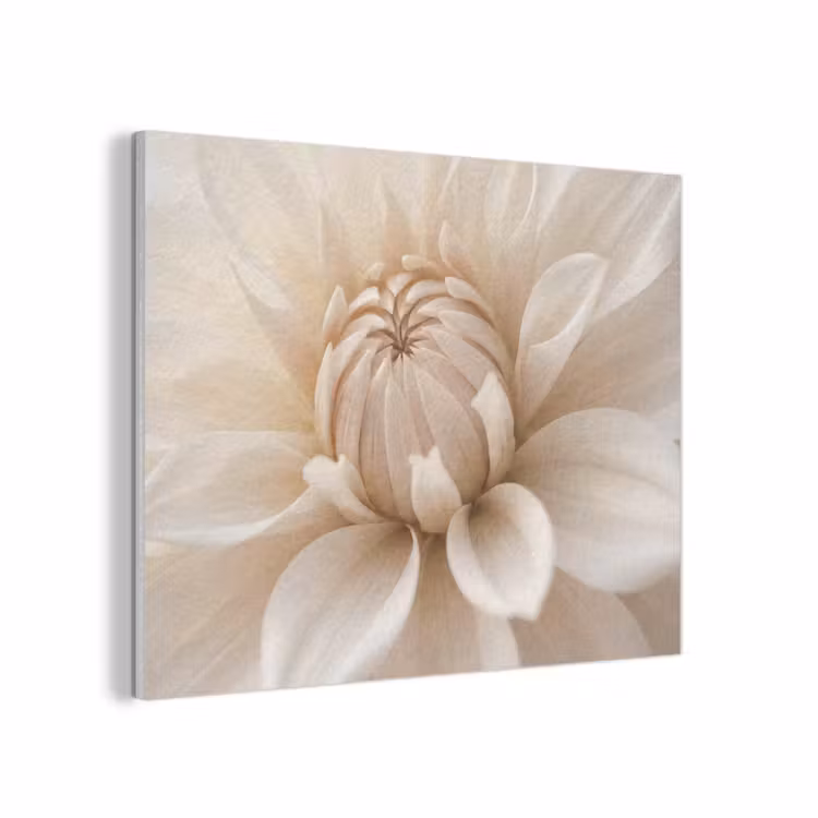 Bloem - Dahlia - Wit PET vilt klein -3d