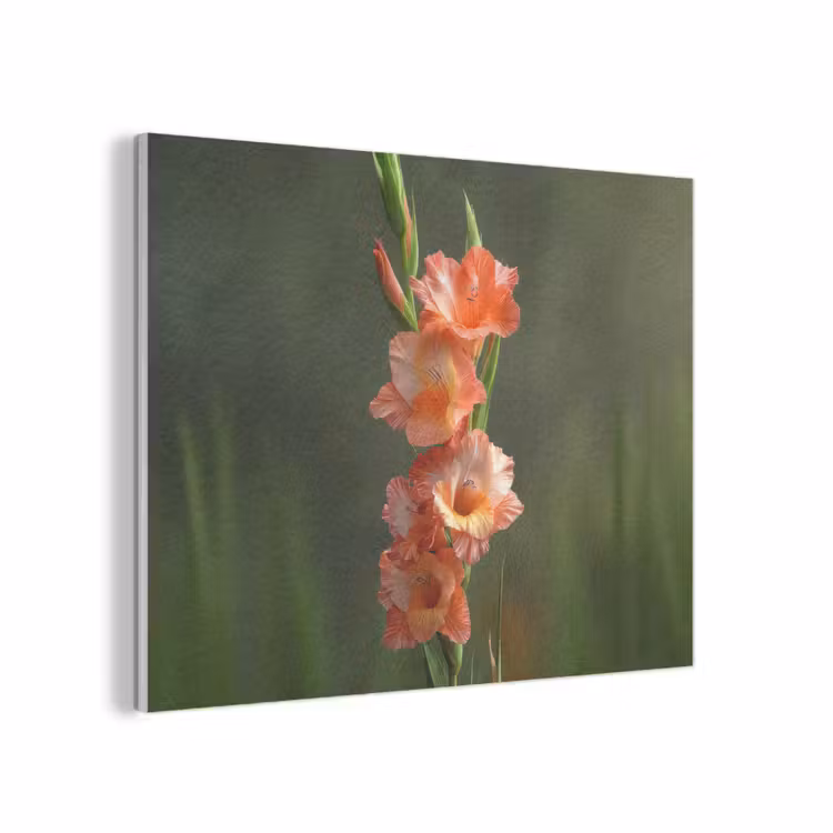 Bloem - Gladiolen - Zalmroze PET vilt klein -3d