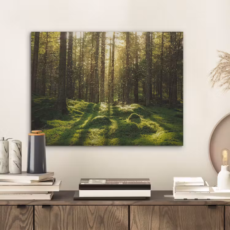 Bomen - Bos - Mos - Planten - Zon - Natuur PET vilt klein -sfeer1
