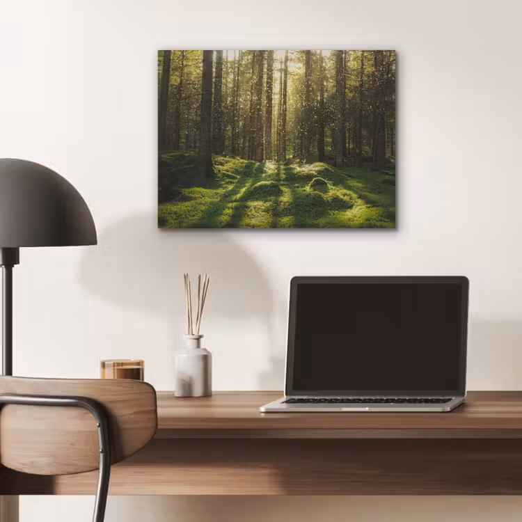 Bomen - Bos - Mos - Planten - Zon - Natuur PET vilt klein -sfeer5